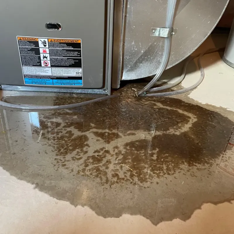 Appliance Leak Cleanup in Akron, CO