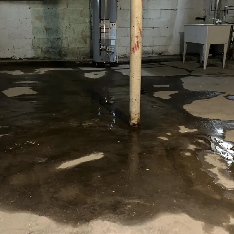 Emergency Water Extraction And Removal in Akron, CO